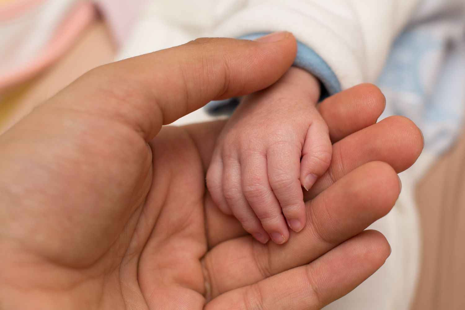 Bild zeigt: Eine Säuglingshand liegt in der Hand eines Erwachsenen