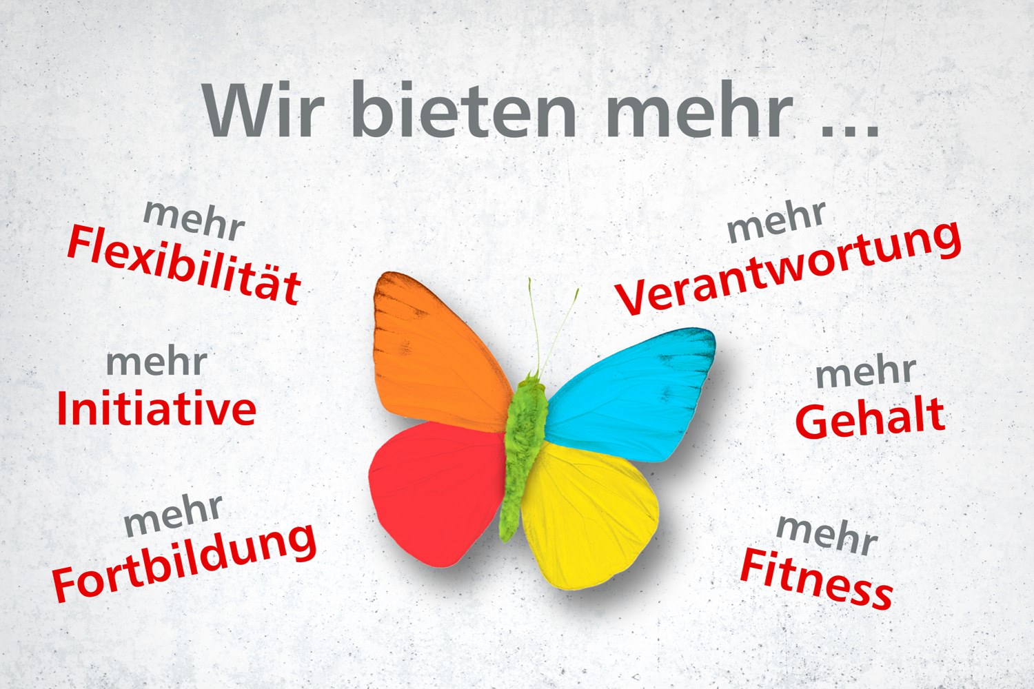 Bild zeigt: Schmetterling in den Farben der Innosozial mit Begriffen zum Motto "Wir bieten mehr"